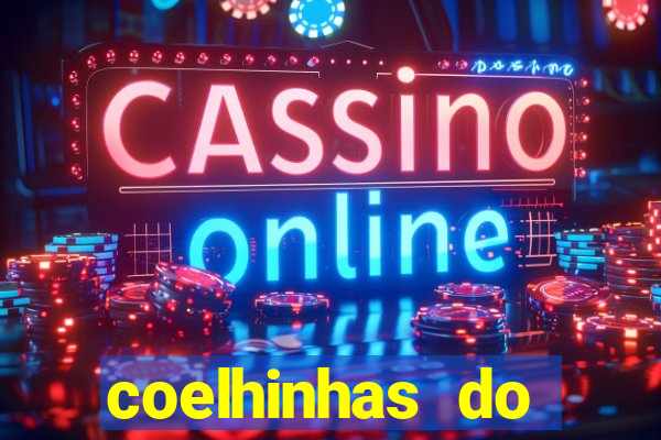 coelhinhas do brasil recife